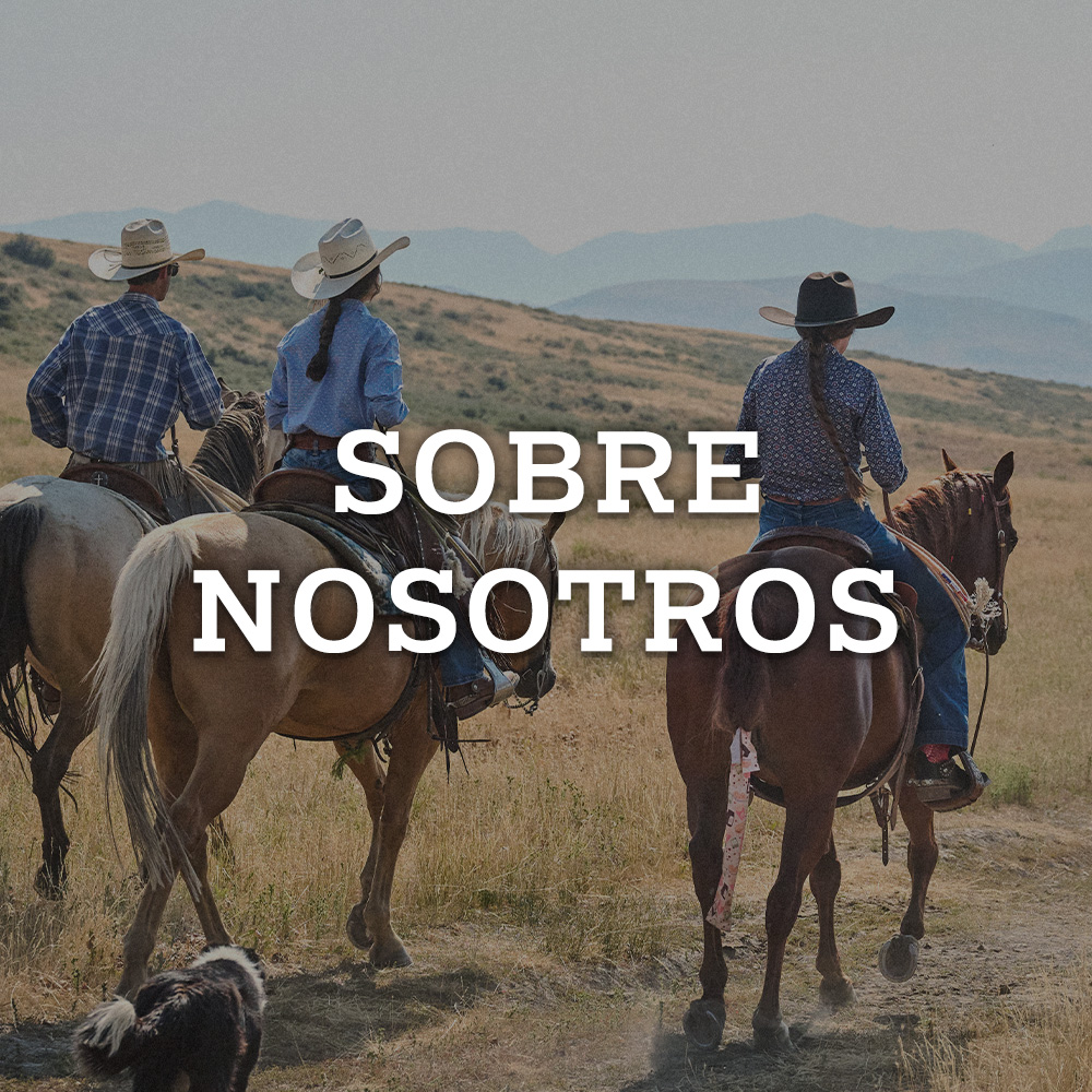 Sobre nostoros. Vaqueros montados a caballo.